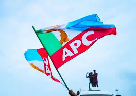 2027: APC Denies Withdrawing Tinubu Campaign Council List